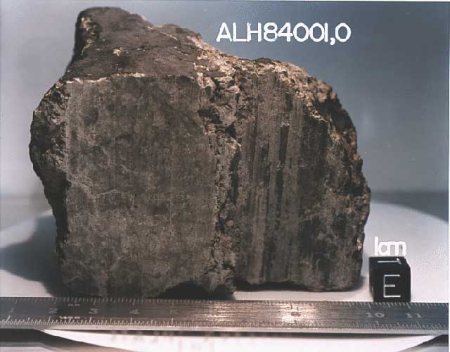 شهاب سنگ ALH 84001 که در سال ۱۹۸۴ در قطب جنوب کشف شده بود، در سال ۱۹۹۶ توجه دانشمندان را به خود جلب کرد چراکه حفره ها و شکل هایی ذره بینی در این شهاب سنگ یافته شد که دانشمندان احتمال می دادند که سنگواره ی (فسیل) میکروب باشد. 
