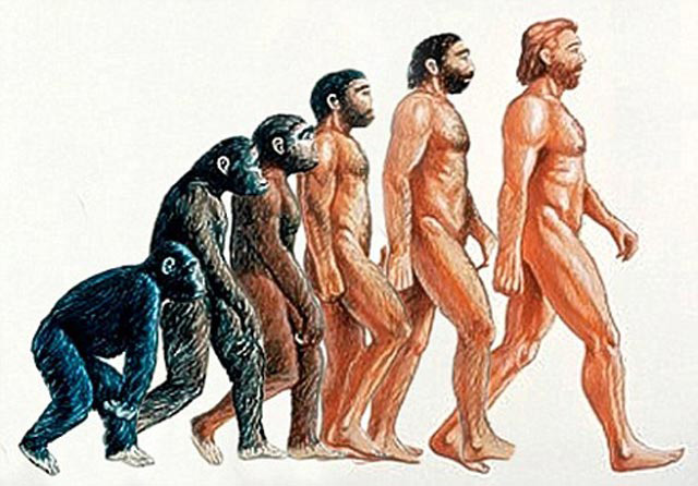 تکامل یا فرگشت که مسیر تغییر تدریجی میمون را در طی قرنها به صورت انسان نشان می دهد. شاید نظریه دکتر مکارتی درست تر باشد که پیوند حاصل از آمیزش شامپانزه و خوک، دارای ویژگی های بیشتری با انسان بوده و انسان اولیه را پایه گذاری نموده است!. (سهراب ارژنگ)